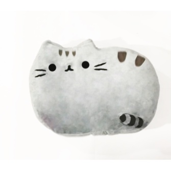 gấu bông chăn pusheen GBC16 dễ thương cute gối kèm chăn lông thêu