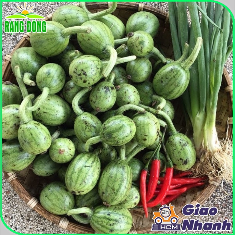 Hạt giống Dưa Hấu thu non (Dưa Canh) trái sai, trồng quanh năm - Hạt giống Rạng Đông