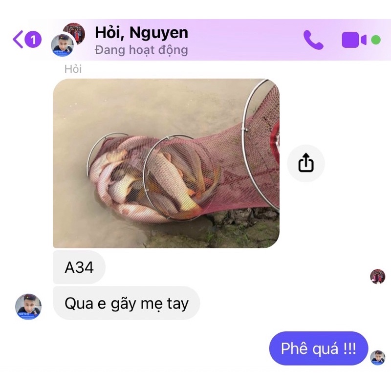 Mồi Ngũ Cốc Siêu Chép:A34