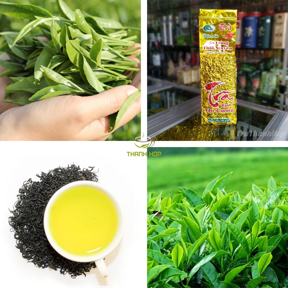 Trà Móc Câu Tân Cương Thái Nguyên ĐẶC SẢN ĐS2 gói 500g - Trà xanh Thái Nguyên