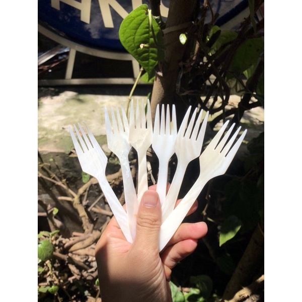 Dĩa ngọc trai thiên nhiên độc đáo