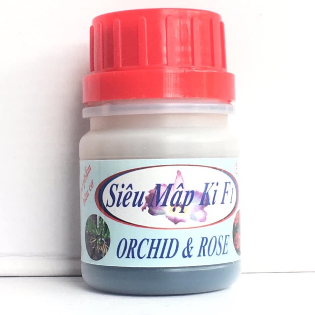 Siêu mập kie