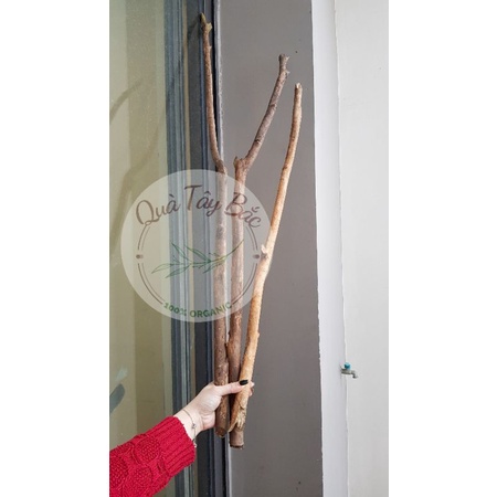 Cành củi khô Cành cây khô gỗ Quế tự nhiên Decor trang trí làm Macrame, cây thông Noel siêu đẹp siêu thơm