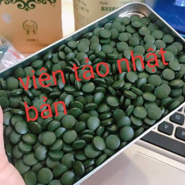 Viên tảo nhật bản