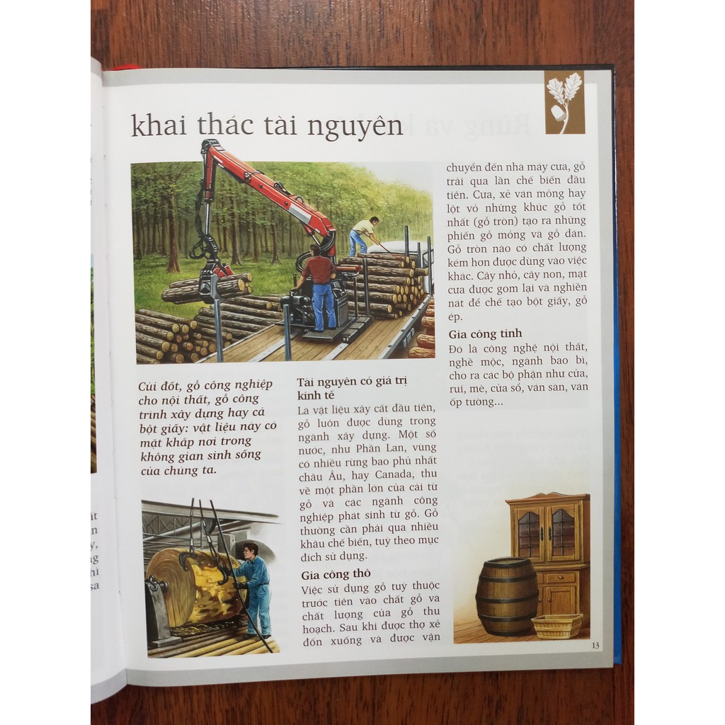 Sách Tranh - Khám phá rừng - NXB Kim Đồng