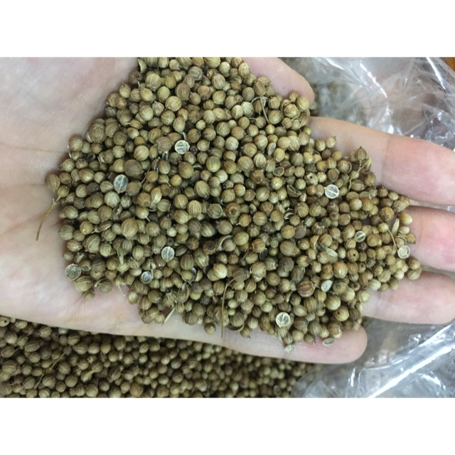 Hạt mùi khô gói 500g- 1kg