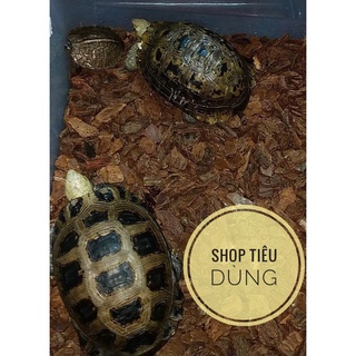 1kg Gỗ thông lót chuồng bò sát. Vỏ thông sạch lót chuồng cho thú cưng 1 KG