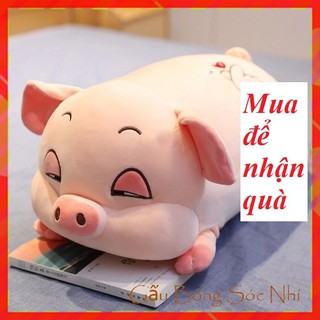 Gấu Bông Heo Ngủ ⚡ FREESHIP ⚡ Gấu Bông Heo Phê Cần Xinh Xắn Size 35cm