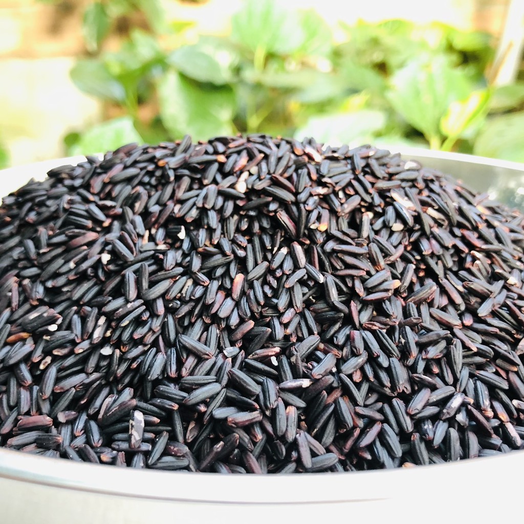 Nếp than dưỡng sinh ( gạo nếp cẩm ) thơm ngon , dinh dưỡng hữu cơ