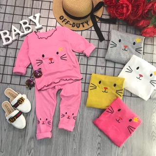 Combo bộ mèu thêu cotton len