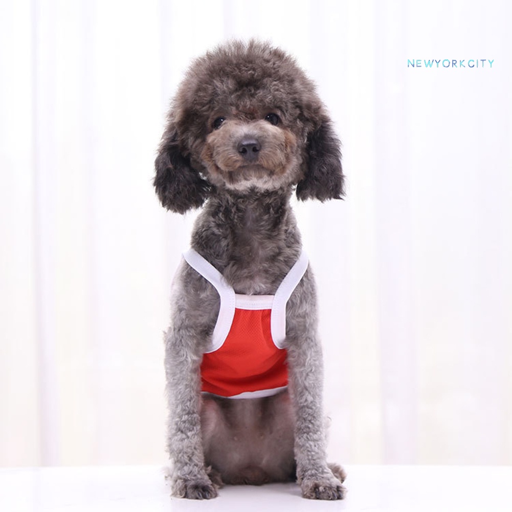 Áo Hai Dây Sát Nách In Hình Quả Bơ Khủng Long Dễ Thương Cho Cún Cưng