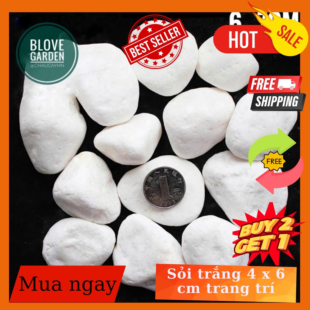 1kg Sỏi trắng trang trí sân vườn, trang trí thác áp tường hoặc ốp thành hồ hòn non bộ, bể c, terarium