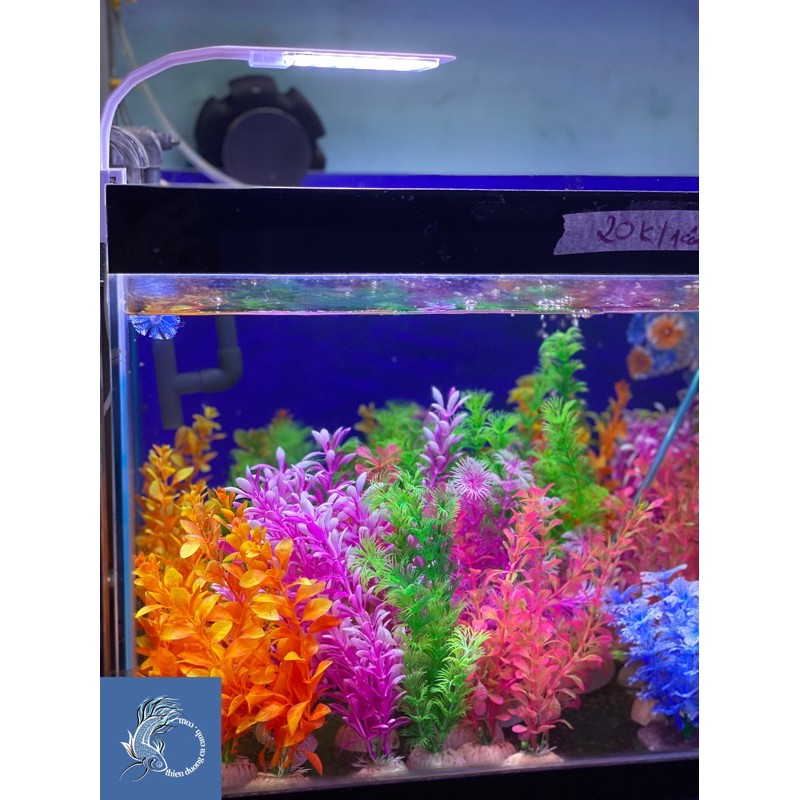 Đèn Led Kẹp Thành Hồ Cá Thuỷ Sinh M-280