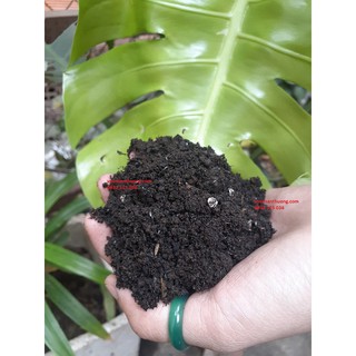 [ưu đãi] 5kg đất ươm cây hữu cơ