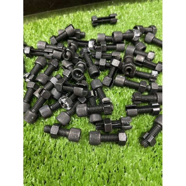 Ốc tăng đưa ampida yaz zin