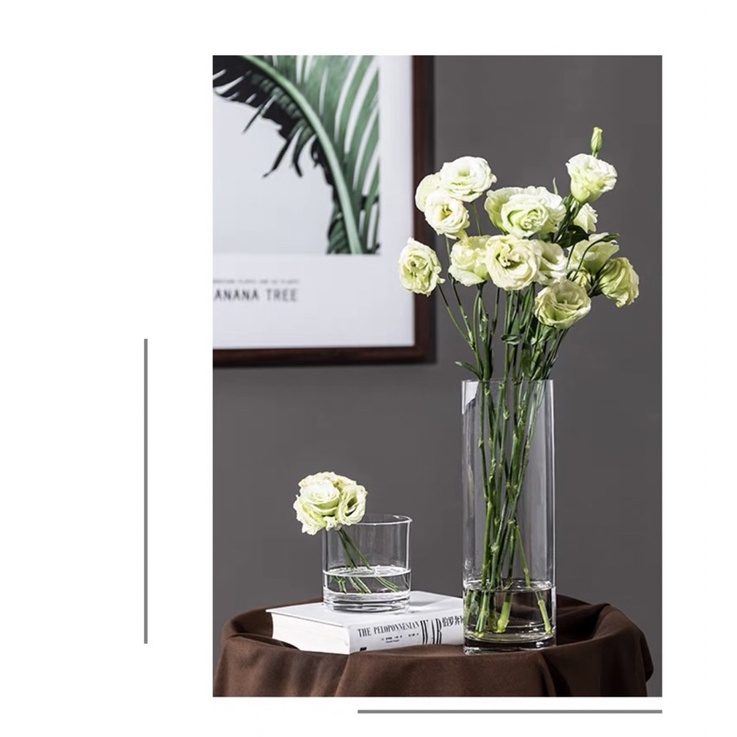 Bình hoa thủy tinh trụ tròn 25 cm cao cấp