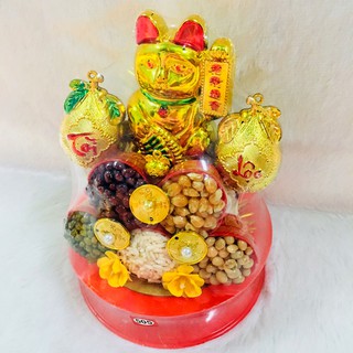 Tháp dĩa giải trí cho mèo