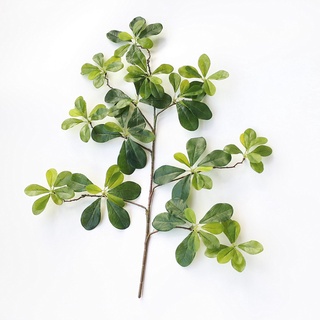 Lá bàng đài loan [ Cành lá trang trí, cành lá cao cấp An Thịnh Decor ]