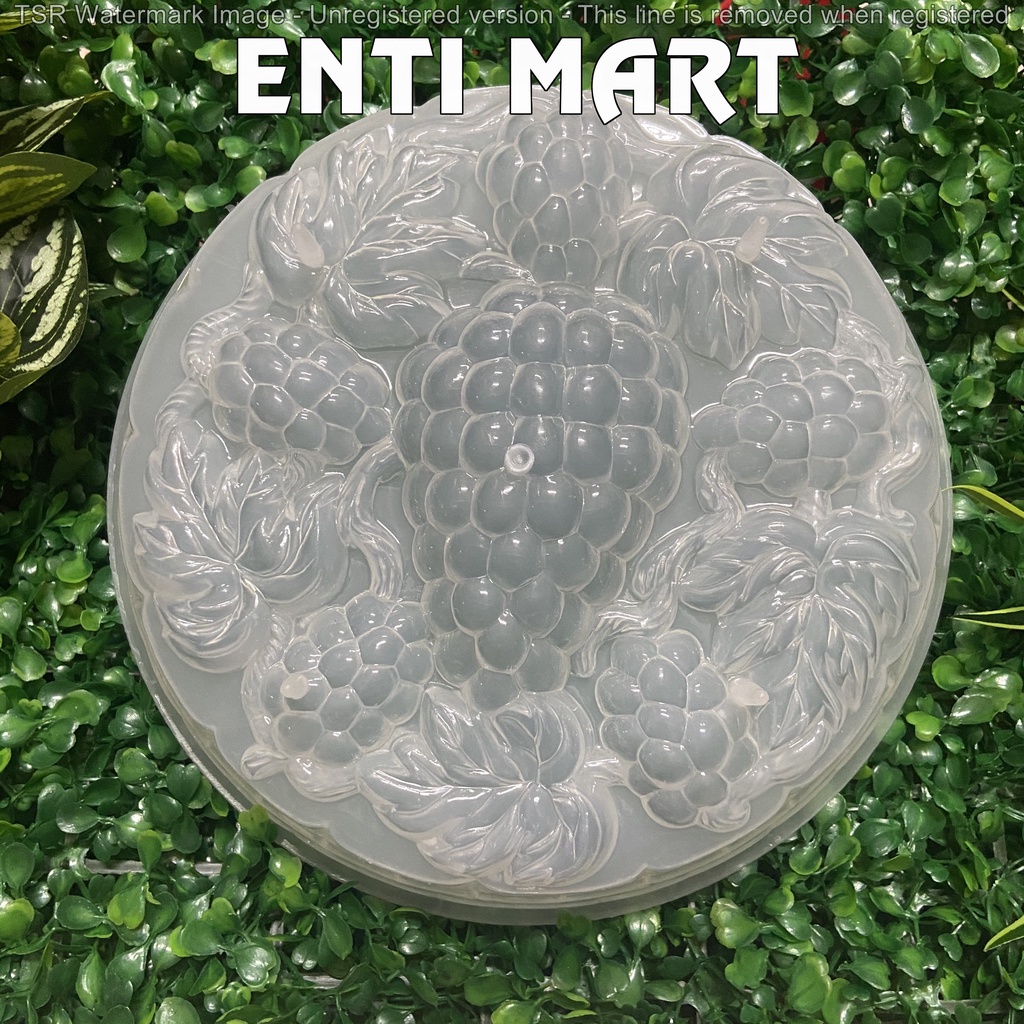 Khuôn Rau Câu 25cm Sinh Nhật, Hoa Quả, Bông Hoa