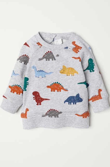 Bộ nỉ khủng long HM auth (hàng sẵn có ảnh thật)