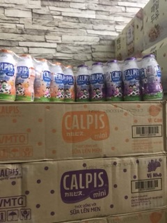 Sữa chua calpis nhật bản