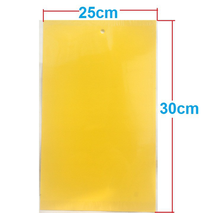 Set 5 miếng dán bẫy côn trùng, ruồi vàng kích thước 15cmx25cm