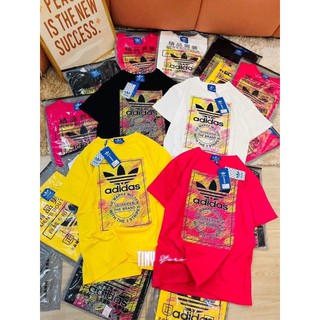 Áo Thun 🌹FREE SHIP 🌹 Áo Thun Nữ bánh ngọt DIRTY COINS🍩🍩kèm ảnh thậtq