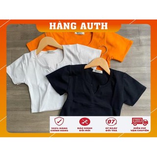 [Freeship - Hàng Cao Cấp] ÁO CROPTOP CỔ V