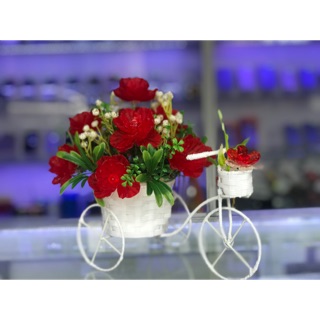 Giỏ hoa xe đạp