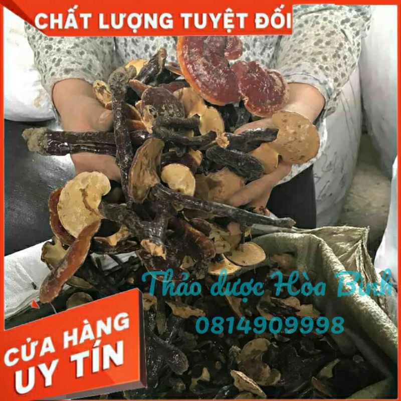 NẤM LIM XANH tự nhiên 100%. nấm lim xanh rừng chuẩn