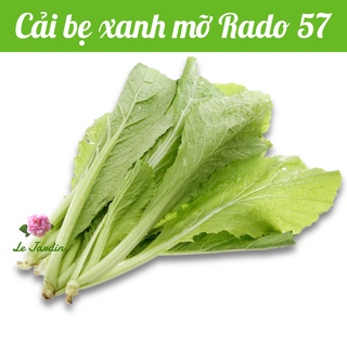 Hạt giống cải bẹ xanh mỡ rado 57 gói 20gr - dễ trồng