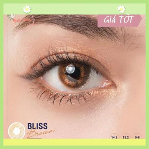 (Tặng khay lens) Lens nâu tây Hàn Quốc Vivimoon  Bliss Brown 13.2mm(áp tròng tự nhiên), Lens cận thờ