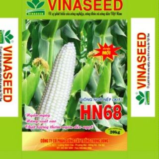 Hạt giống ngô nếp lai hn68( túi 500gram)