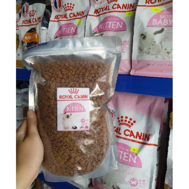 Royal Canin 1kg. Indoor/Kitten/Fit 32- Hạt cho mèo