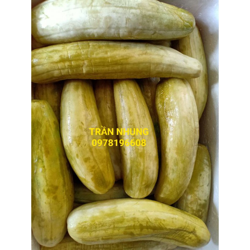 DƯA GANG MUỐI CHUA QUẢNG NAM, RẤT GIÒN NGON VÀ HẤP DẪN