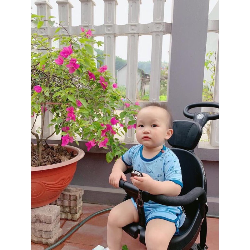 Bộ cộc tay hoa quả, bộ thun lạnh cho bé