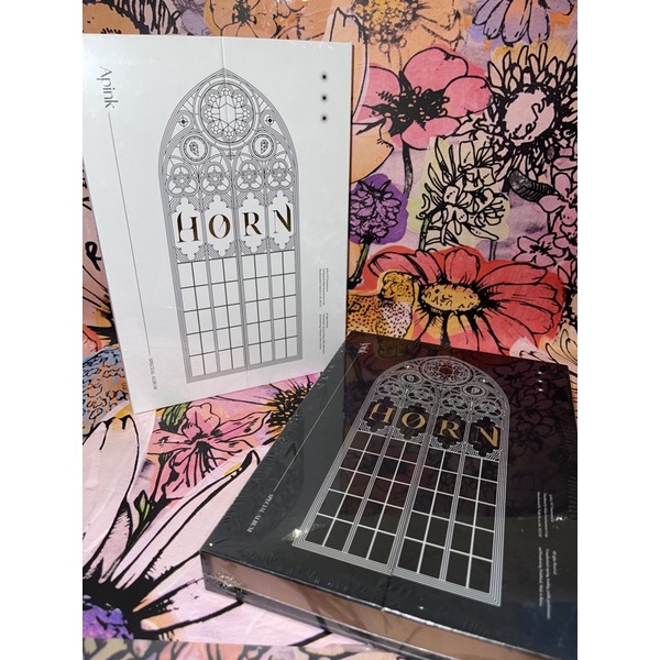 Album ảnh HORN -  Apink (được chọn ver)