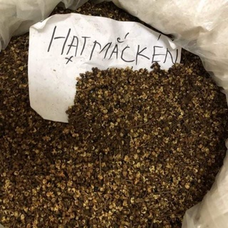 Hạt mắc kén tây bắc + hạt dổi 100g