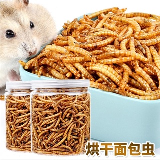Bánh Mì Thức Ăn Khô Côn Trùng Cỡ Nhỏ Màu Vàng Cho Chuột Hamster