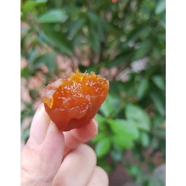 Ô Mai Mơ Xuất Nhật Hộp 500gram