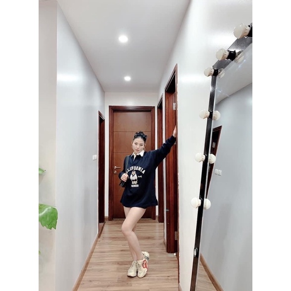 Áo nỉ gấu CALIFONIAR phối cổ sơ mi 2 màu xanh than be