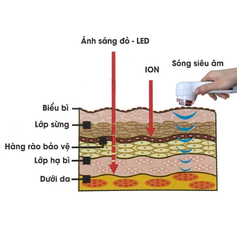 Máy siêu âm cầm tay 3 trong 1 KUM 048 - Trị liệu tắc tia sữa, kết hợp chăm sóc da với công nghệ ION và đèn LED ánh sáng