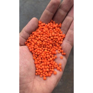 [Date 2021]Đậu lăng đỏ Davert hữu cơ 500g