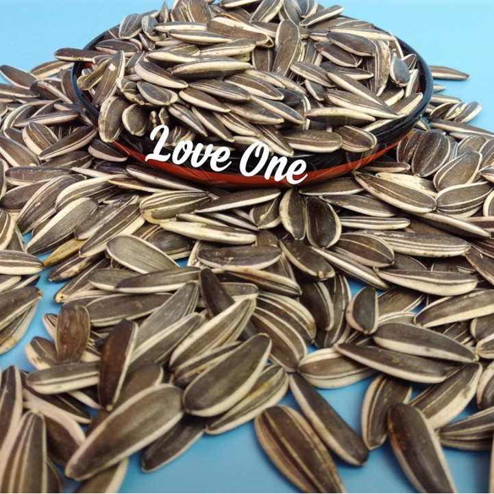 100g Hướng Dương Hạt To Giàu Dinh Dưỡng Cho Hamster-Rat-Đuôi Mập