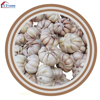 Tỏi trắng Bắc 1kg