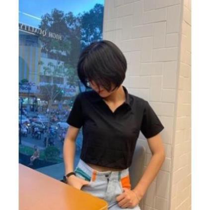 Áo Croptop Polo Basic Dáng Ôm Nhẹ Chất Liệu Thun Mềm 40-45kg Bao Đẹp Chapi CP06 | BigBuy360 - bigbuy360.vn
