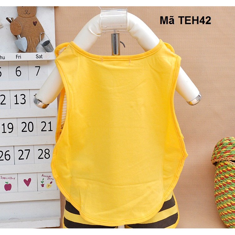 Bộ đồ Con ếch, con ong, quả dưa hấu TEH44,TEH43,TEH42