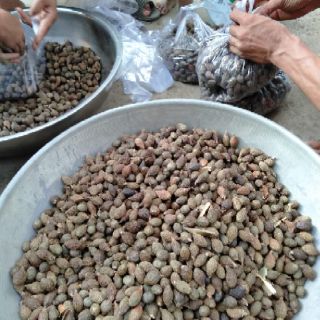 Hạt ươi bay 200g