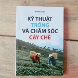 Kỹ Thuật Trồng Và Chăm Sóc Cây Chè (Ml) 548132