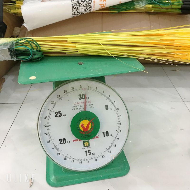Bó 10 Bông lúa đèn led ánh kim thu hút TÀI LỘC-MAY MẮN-nhiều chế độ